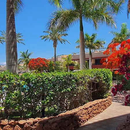 Lägenhet Sea&sun Paradise, Heated Pool, 2br, Parking Playa Paraiso (Tenerife)